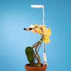 LED Grow Light | Adjustable Full-Spectrum & Dimmable | Automatic Timer