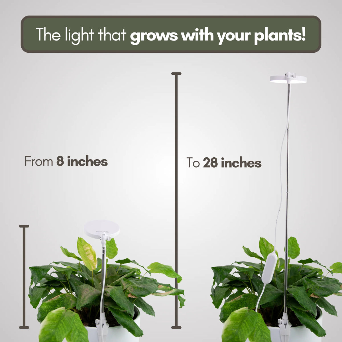 LED Grow Light | Adjustable Full-Spectrum & Dimmable | Automatic Timer