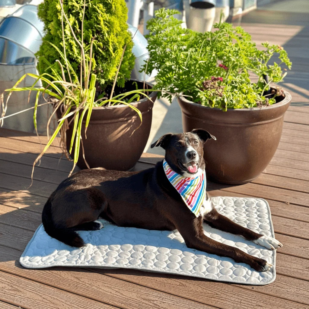 Pet Cooling Mat | Self-Cooling & Machine-Washable | Multiple Sizes