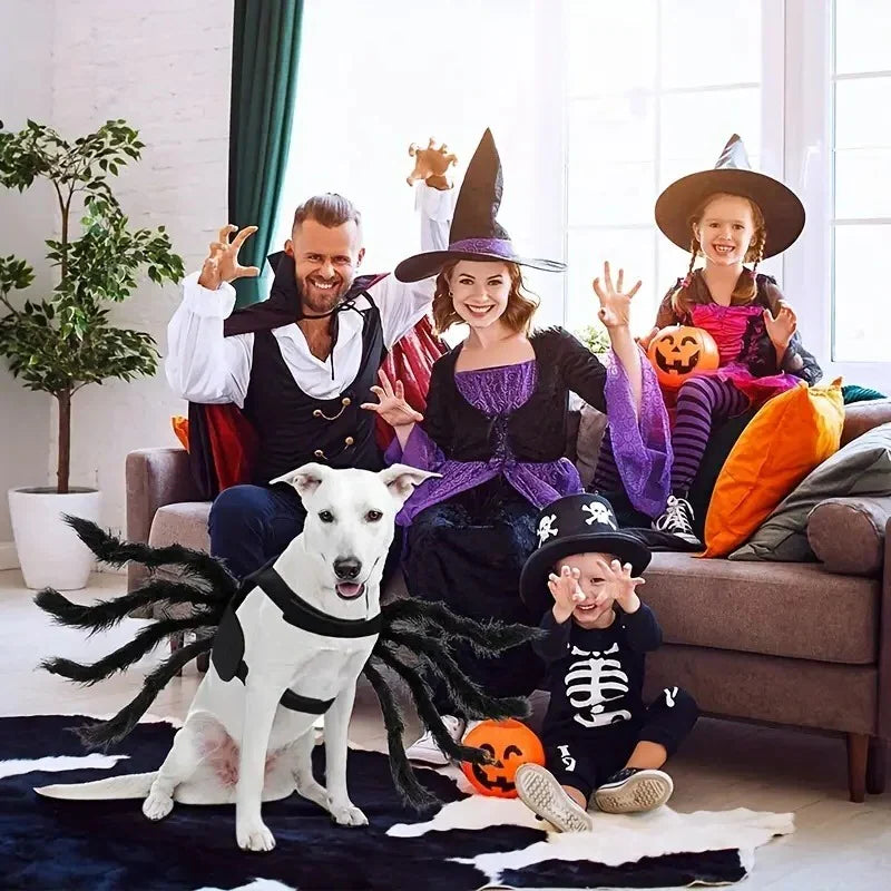 Pet Costume | Realistic Spider Legs & Adjustable Fit
