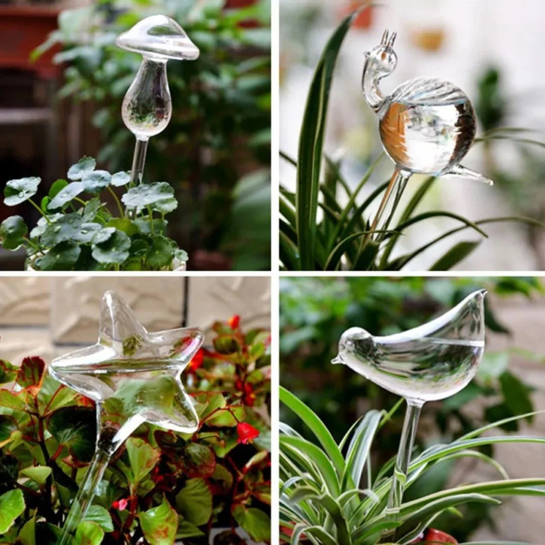 Plant Watering Device | Automatic Self-Watering & Transparent Glass | Approx. 15 cm