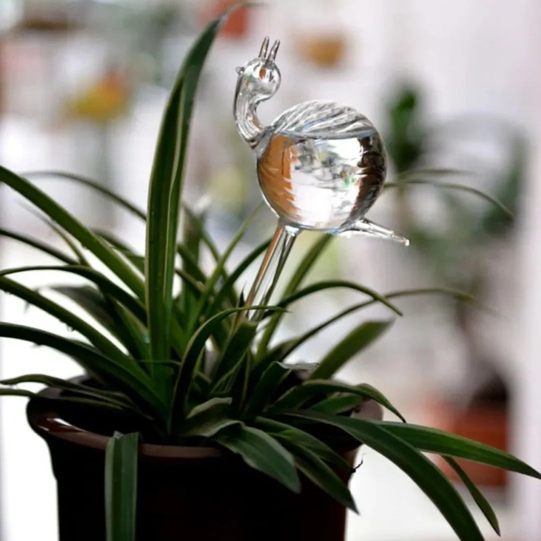 Plant Watering Device | Automatic Self-Watering & Transparent Glass | Approx. 15 cm