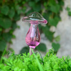 Plant Watering Device | Automatic Self-Watering & Transparent Glass | Approx. 15 cm