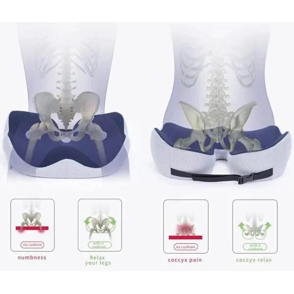 Seat Cushion | Orthopedic Contoured Memory Foam & Breathable Mesh