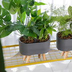 Plant Pot | Self-Watering & Built-In Reservoir | Cylindrical