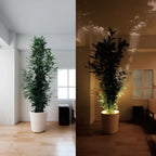Spotlight | Remote Control, Dimmable & USB Rechargeable