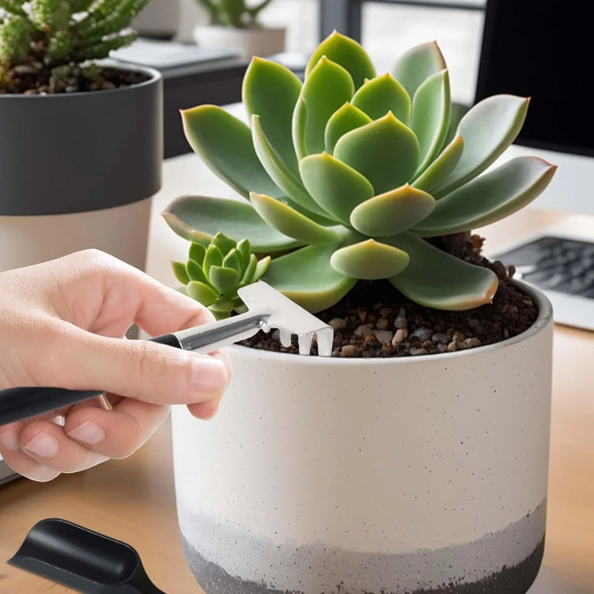 Succulent Tool Set | 12-Piece Polished Metal & Linen Pouch