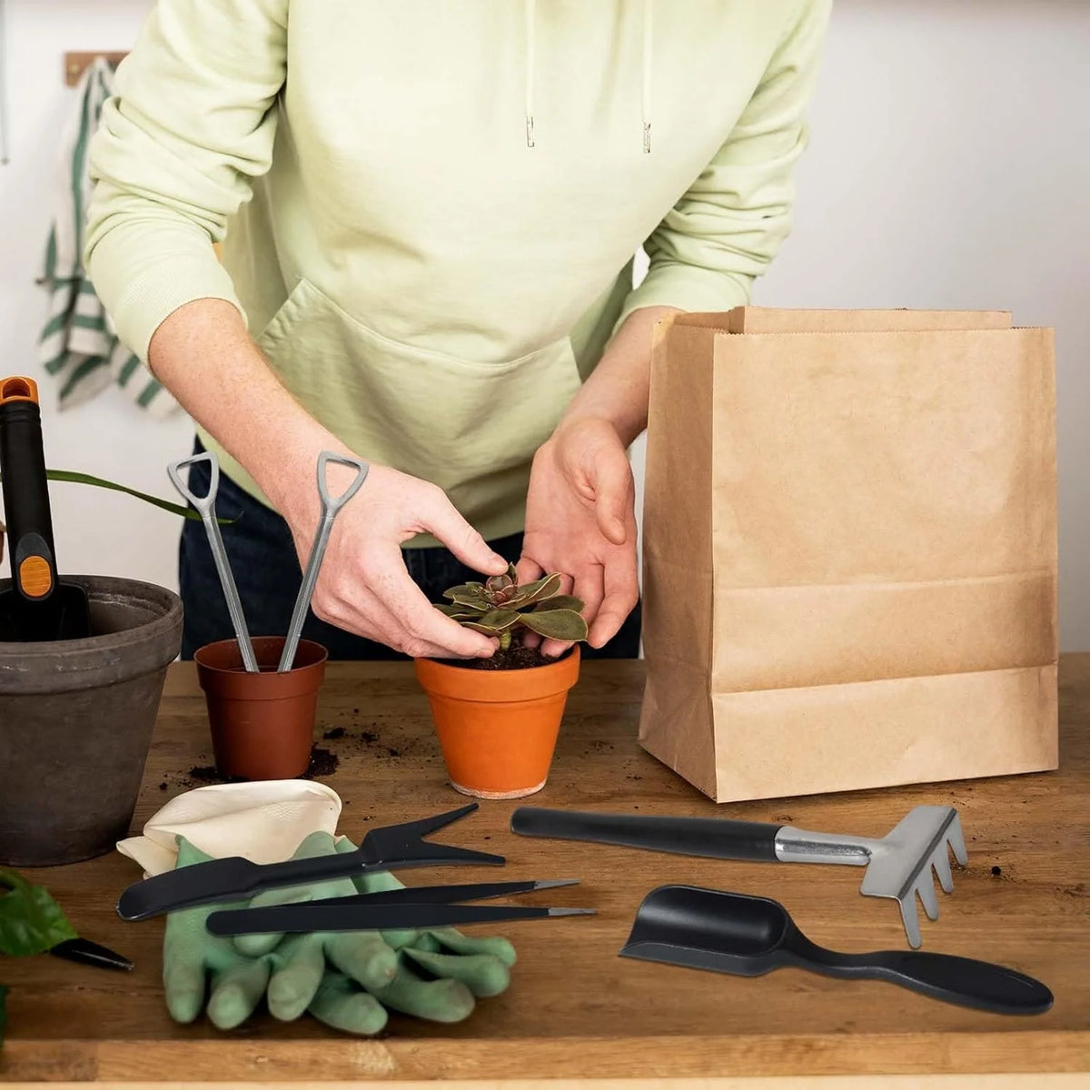 Succulent Tool Set | 12-Piece Polished Metal & Linen Pouch