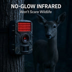 Trail Camera | Infrared Night Vision & Motion-Activated