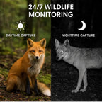 Trail Camera | Infrared Night Vision & Motion-Activated