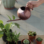 Watering Can | Narrow Precision Spout | Polished Metal & Curved Handle