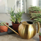 Watering Can | Narrow Precision Spout | Polished Metal & Curved Handle