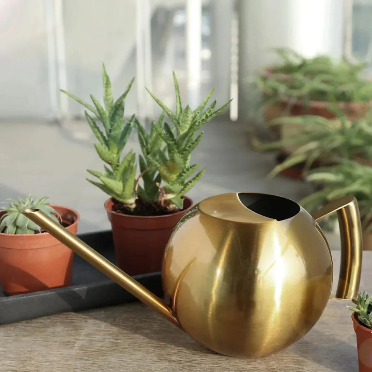Watering Can | Narrow Precision Spout | Polished Metal & Curved Handle