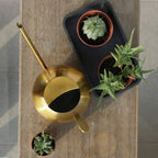 Watering Can | Narrow Precision Spout | Polished Metal & Curved Handle