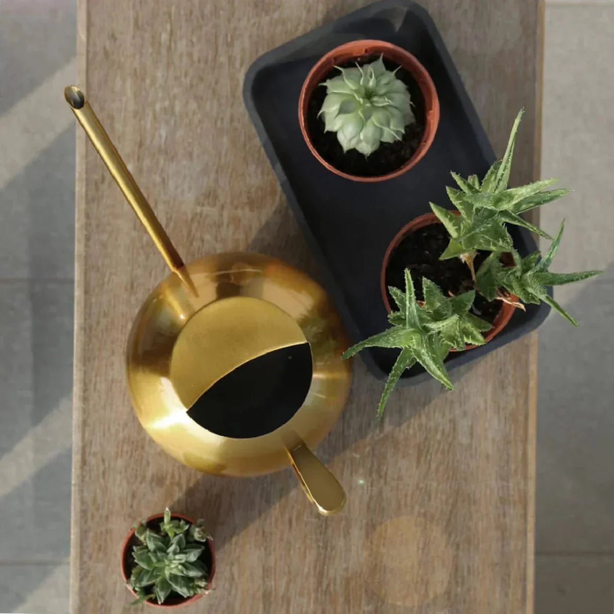Watering Can | Narrow Precision Spout | Polished Metal & Curved Handle