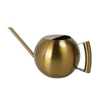 Watering Can | Narrow Precision Spout | Polished Metal & Curved Handle