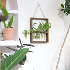 Plant Propagation Frame | Solid Wood & Open-Center Design